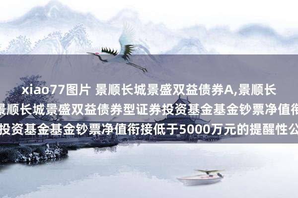 xiao77图片 景顺长城景盛双益债券A，景顺长城景盛双益债券C: 对于景顺长城景盛双益债券型证券投资基金基金钞票净值衔接低于5000万元的提醒性公告