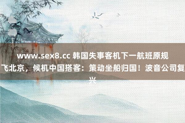 www.sex8.cc 韩国失事客机下一航班原规划飞北京，候机中国搭客：策动坐船归国！波音公司复兴