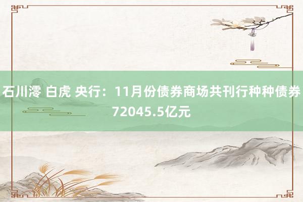 石川澪 白虎 央行：11月份债券商场共刊行种种债券72045.5亿元