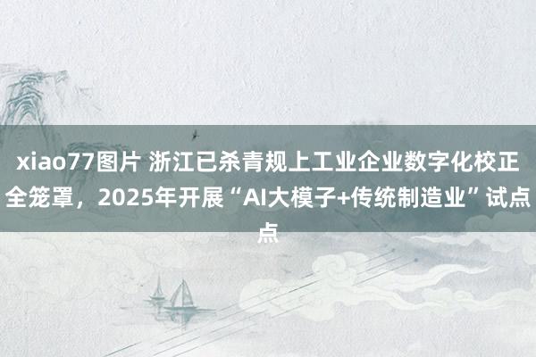 xiao77图片 浙江已杀青规上工业企业数字化校正全笼罩，2025年开展“AI大模子+传统制造业”试点