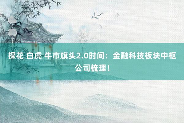 探花 白虎 牛市旗头2.0时间：金融科技板块中枢公司梳理！