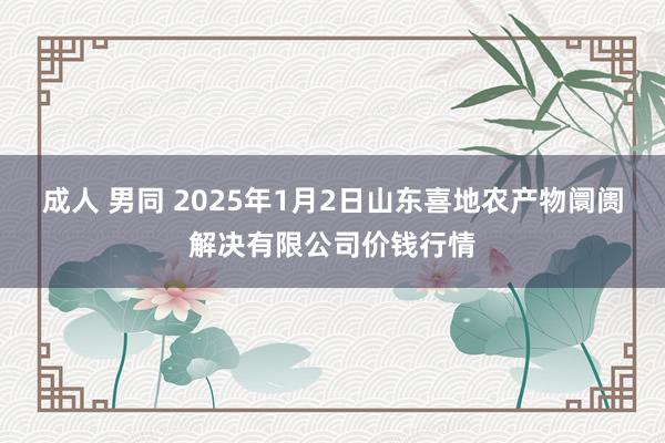 成人 男同 2025年1月2日山东喜地农产物阛阓解决有限公司价钱行情