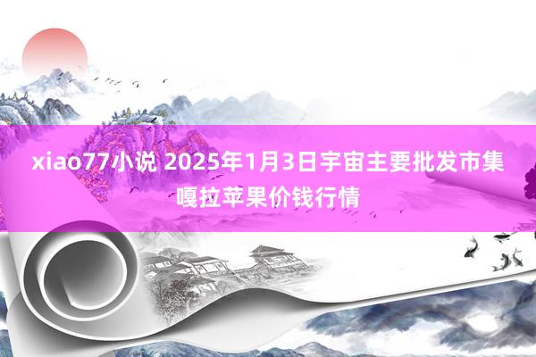 xiao77小说 2025年1月3日宇宙主要批发市集嘎拉苹果价钱行情