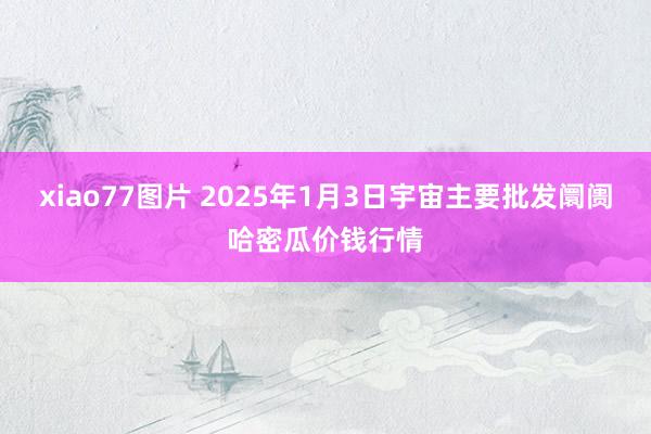 xiao77图片 2025年1月3日宇宙主要批发阛阓哈密瓜价钱行情