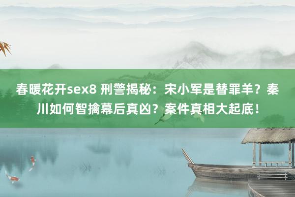 春暖花开sex8 刑警揭秘：宋小军是替罪羊？秦川如何智擒幕后真凶？案件真相大起底！