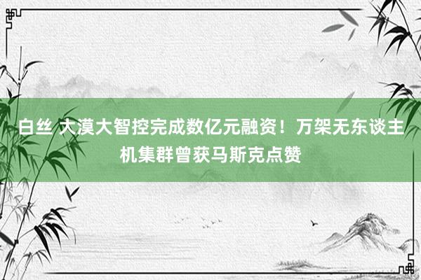 白丝 大漠大智控完成数亿元融资！万架无东谈主机集群曾获马斯克点赞