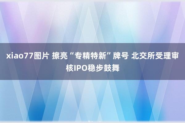 xiao77图片 擦亮“专精特新”牌号 北交所受理审核IPO稳步鼓舞