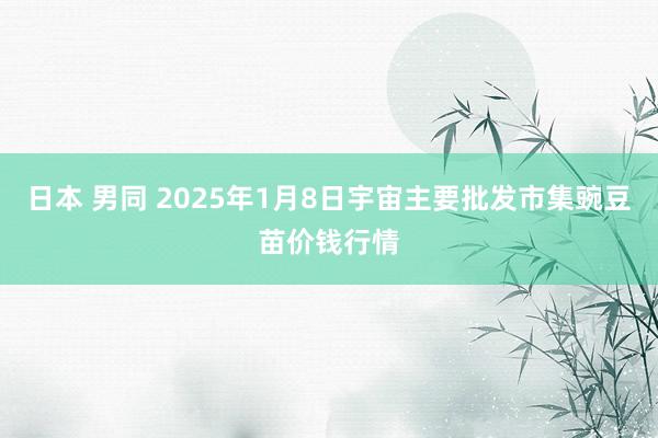 日本 男同 2025年1月8日宇宙主要批发市集豌豆苗价钱行情