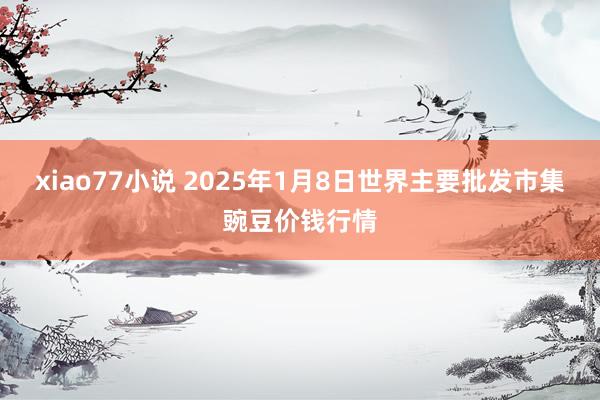 xiao77小说 2025年1月8日世界主要批发市集豌豆价钱行情