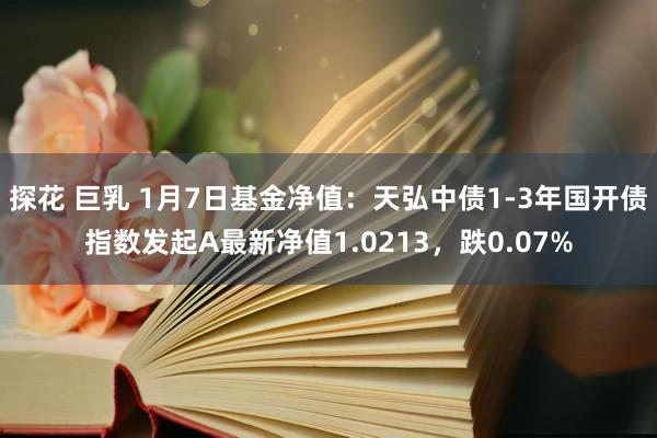 探花 巨乳 1月7日基金净值：天弘中债1-3年国开债指数发起A最新净值1.0213，跌0.07%