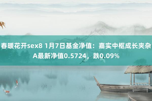 春暖花开sex8 1月7日基金净值：嘉实中枢成长夹杂A最新净值0.5724，跌0.09%