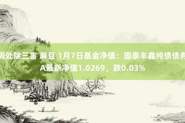 周处除三害 麻豆 1月7日基金净值：国泰丰鑫纯债债券A最新净值1.0269，跌0.03%