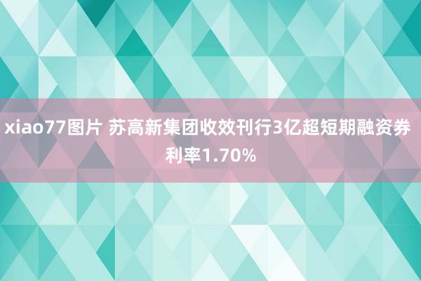 xiao77图片 苏高新集团收效刊行3亿超短期融资券 利率1.70%