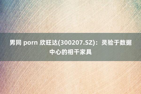 男同 porn 欣旺达(300207.SZ)：灵验于数据中心的相干家具