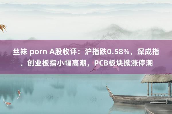 丝袜 porn A股收评：沪指跌0.58%，深成指、创业板指小幅高潮，PCB板块掀涨停潮