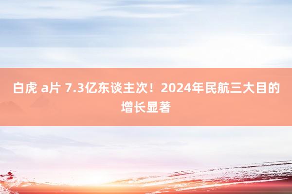 白虎 a片 7.3亿东谈主次！2024年民航三大目的增长显著