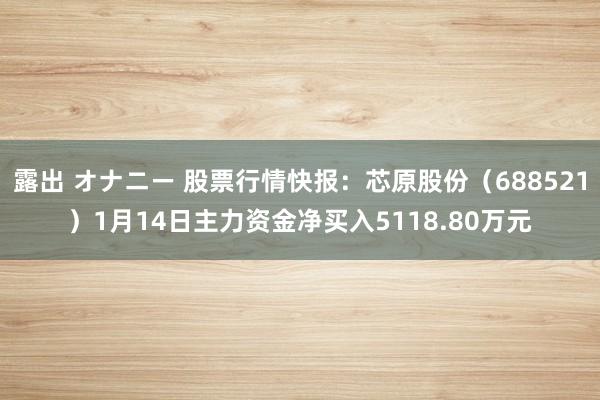 露出 オナニー 股票行情快报：芯原股份（688521）1月14日主力资金净买入5118.80万元