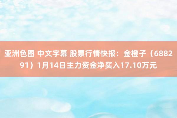 亚洲色图 中文字幕 股票行情快报：金橙子（688291）1月14日主力资金净买入17.10万元