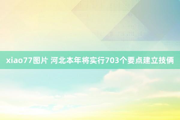 xiao77图片 河北本年将实行703个要点建立技俩