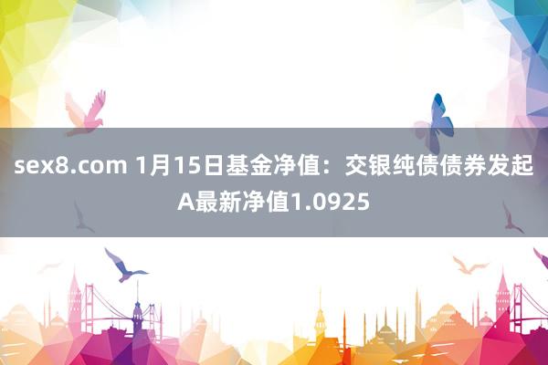 sex8.com 1月15日基金净值：交银纯债债券发起A最新净值1.0925