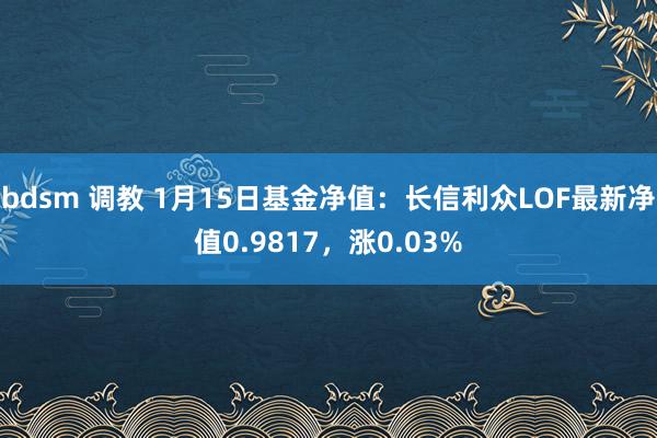 bdsm 调教 1月15日基金净值：长信利众LOF最新净值0.9817，涨0.03%